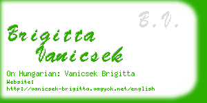 brigitta vanicsek business card